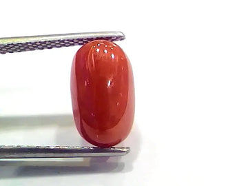 4.27 Ct 4.74 Ratti Natural Italian Red Coral Moonga Gemstone