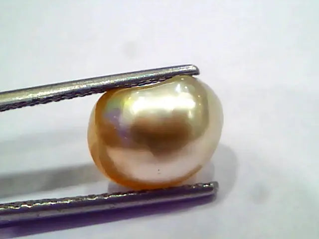 4.30 Ct Certified Natural Venunjula Real Pearl, Real Moti