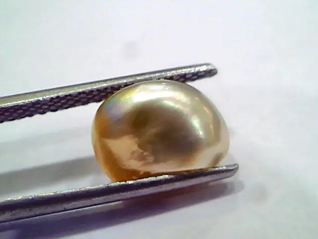 4.30 Ct Certified Natural Venunjula Real Pearl, Real Moti