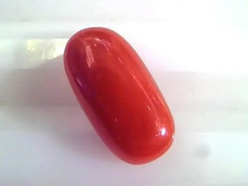 4.31 Ct Untreated Natural Premium Italian Red Coral AAAAA