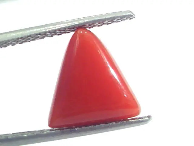 4.34 Ct 7.25 Ratti Natural Italian Triangle Red Coral Moonga Gemstone