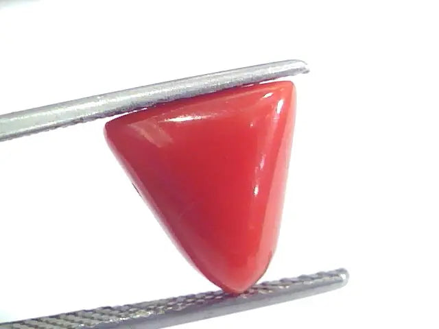 4.34 Ct 7.25 Ratti Natural Italian Triangle Red Coral Moonga Gemstone
