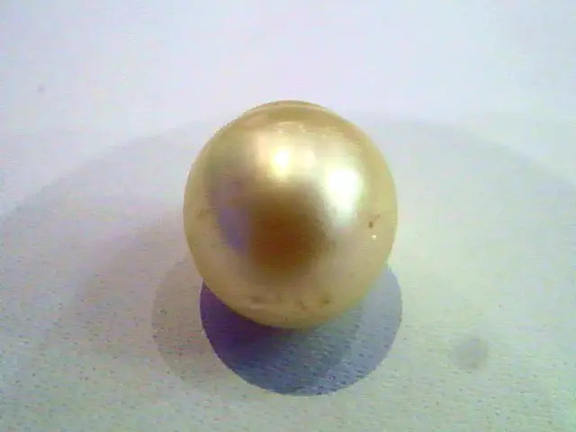 2.28 Carat Certified Natural South Sea Pearl,Certified Moti