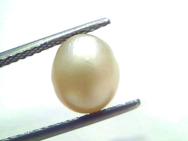 4.35 Carat Natural Certified Real South Sea Pearl (Moti) – 4.78 Ratti | Moon Gemstone