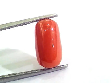 4.37 Ct 4.85 Ratti Untreated Natural Italian Red Coral Moonga Gemstone AA