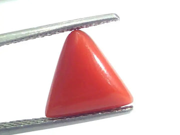 4.37 Ct 7.25 Ratti Natural Italian Triangle Red Coral Moonga Gemstone