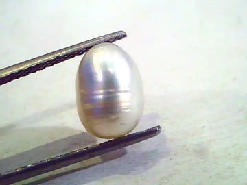 4.37 Ct Certified Natural Venunjula Real Pearl/Real Moti
