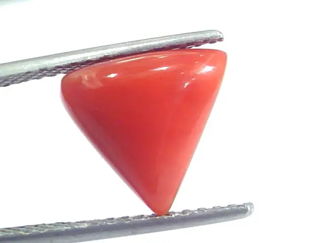 4.38 Ct 7.25 Ratti Natural Italian Triangle Red Coral Moonga Gemstone