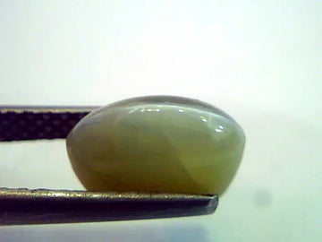 4.49 Ct Certified Untreted Natural Chrysoberyl Cats Eye,Lehsunia