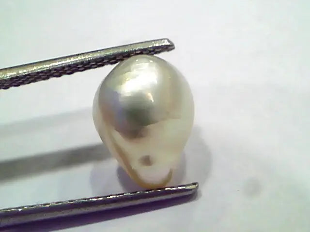 4.45 Ct Certified Natural Venunjula Real Pearl, Real Moti