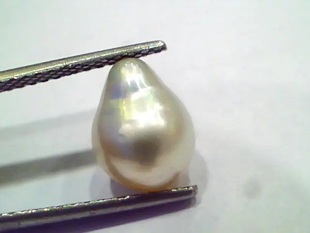 4.45 Ct Certified Natural Venunjula Real Pearl, Real Moti
