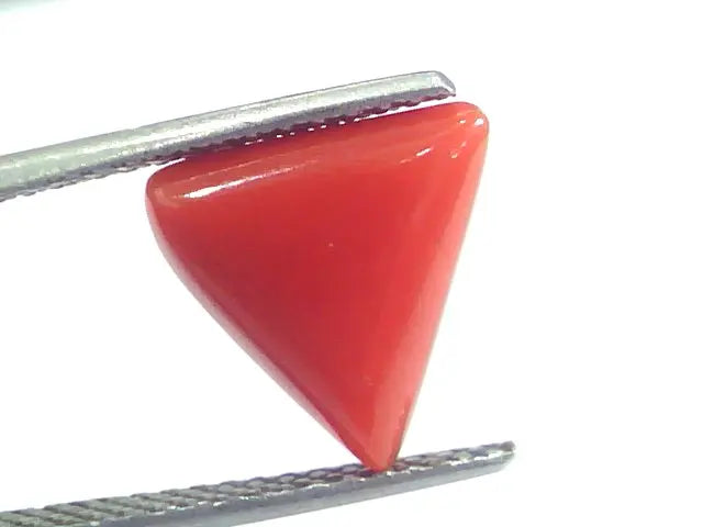4.47 Ct 7.45 Ratti Natural Italian Triangle Red Coral Moonga Gemstone