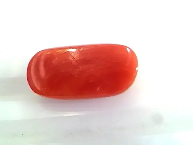 4.49 Ct 4.98 Ratti Untreated Natural Premium Italian Red Coral AAAAA - Venus Gems