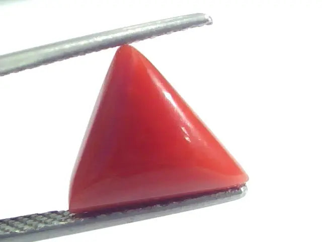 4.50 Ct 7.5 Ratti Natural Italian Triangle Red Coral Moonga Gemstone
