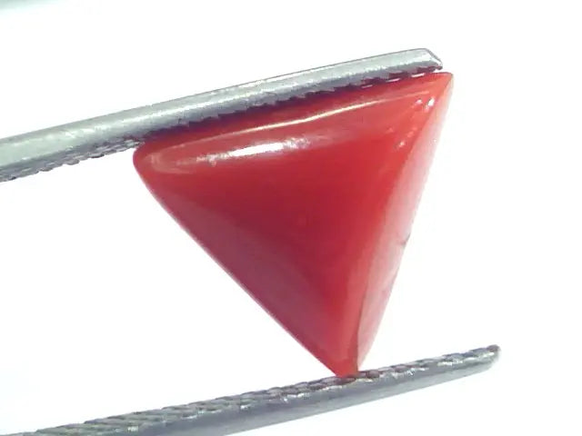 4.50 Ct 7.5 Ratti Natural Italian Triangle Red Coral Moonga Gemstone