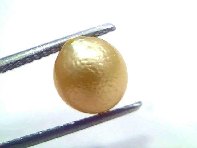 4.51 Carat Natural Certified Real South Sea Pearl (Moti) – 4.95 Ratti | Moon Gemstone