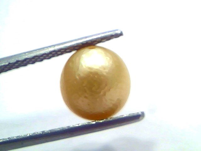 4.51 Carat Natural Certified Real South Sea Pearl (Moti) – 4.95 Ratti | Moon Gemstone