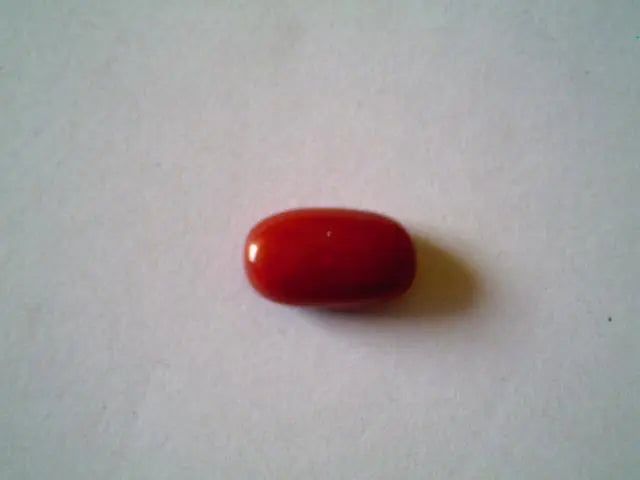 1.1 Carat Natural Tubular Red Italian Coral