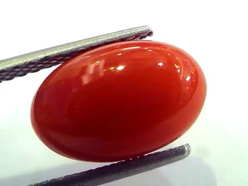 4.68 Ct Top Grade Premium Untreated Natural Japan Red Coral Gemstone