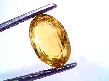 4.60 Ct IGI Certified Unheated Natural Ceylon Yellow Sapphire Pukhraj – 5.05 Ratti