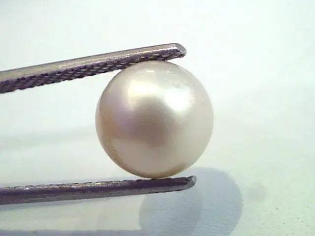 5.72 Carat Natural Certified Real South Sea Pearl,Certified Moti