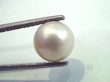 5.72 Carat Natural Certified Real South Sea Pearl,Certified Moti