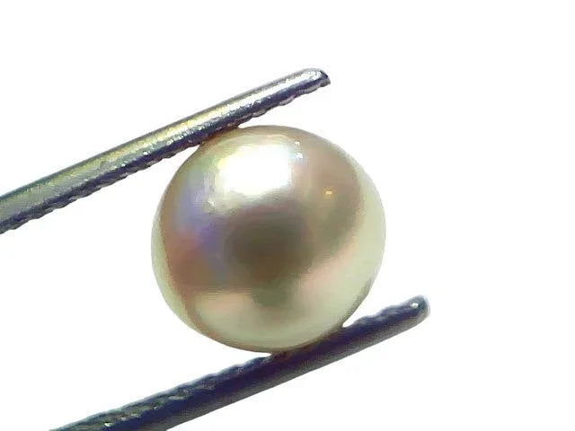 4.61 Ct Natural Certified Real South Sea Pearl Certified Moti - Venus Gems