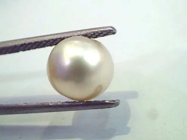 4.43 Carat Natural Certified Real South Sea Pearl,Certified Moti
