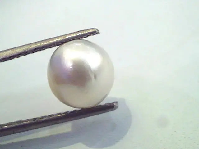 4.96 Carat Natural Certified Real South Sea Pearl,Certified Moti