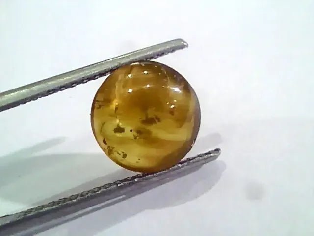 4.64 Ct IGI Certified Untreated Natural Ceylon Cats Eye Apatite - Venus Gems