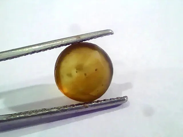 4.64 Ct IGI Certified Untreated Natural Ceylon Cats Eye Apatite - Venus Gems