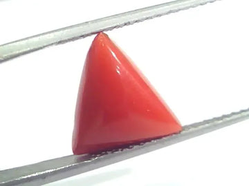 4.66 Ct 5.17 Ratti Natural Italian Triangle Red Coral Moonga Gemstone - Venus Gems