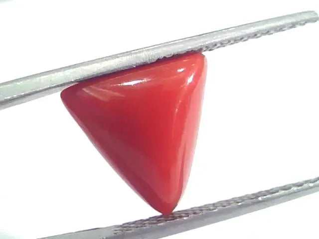 4.66 Ct 5.17 Ratti Natural Italian Triangle Red Coral Moonga Gemstone - Venus Gems