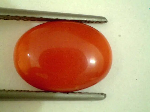 3.30 Ct Untreated Natural Japan Red Coral Gems,Real Moonga