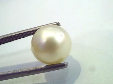4.70 Carat Natural Certified Real South Sea Pearl,Certified Moti