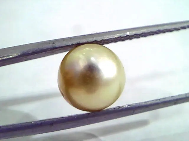 4.74 Ct Natural Certified Real South Sea Pearl,Certified Moti
