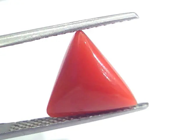 4.76 Ct 7.9 Ratti Natural Italian Triangle Red Coral Moonga Gemstone