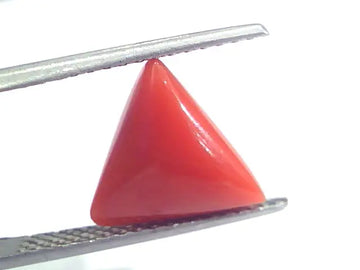 4.76 Ct 7.9 Ratti Natural Italian Triangle Red Coral Moonga Gemstone