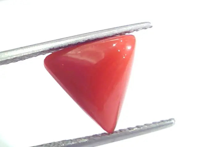 4.76 Ct 7.9 Ratti Natural Italian Triangle Red Coral Moonga Gemstone