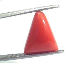 4.78 Ct 5.31 Ratti Natural Italian Triangle Red Coral Moonga Gemstone - Venus Gems