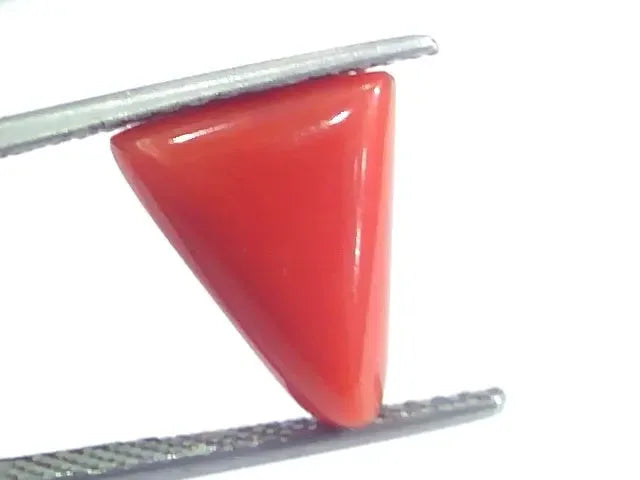 4.78 Ct 5.31 Ratti Natural Italian Triangle Red Coral Moonga Gemstone - Venus Gems