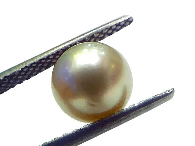 4.80 Ct Natural Certified Real South Sea Pearl Certified Moti - Venus Gems