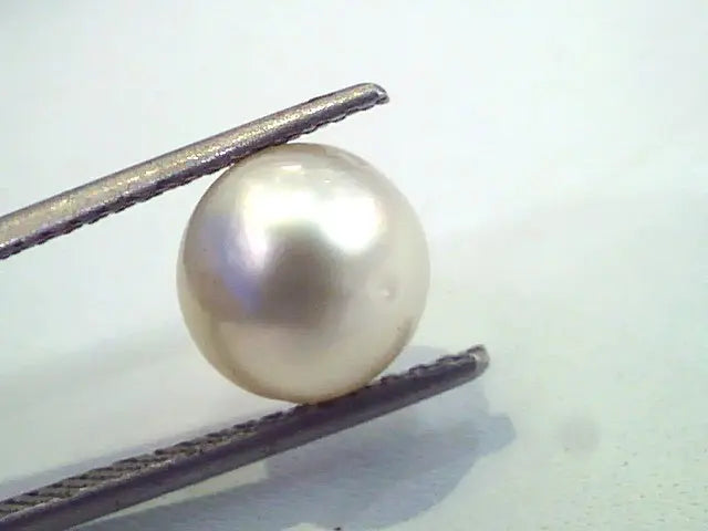 4.96 Carat Natural Certified Real South Sea Pearl,Moti