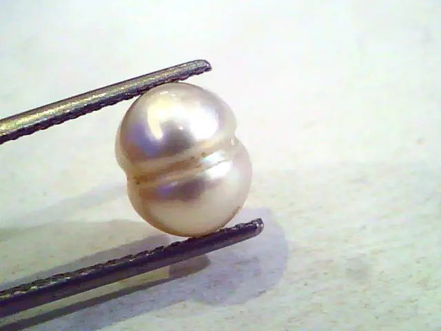 4.82 Ct Certified Natural Venunjula Real Pearl/Real Moti