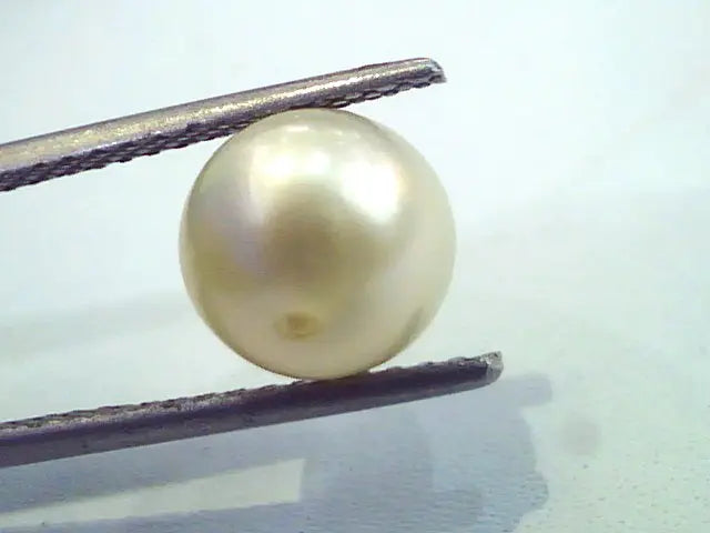 4.66 Carat Natural Certified Real South Sea Pearl,Certified Moti