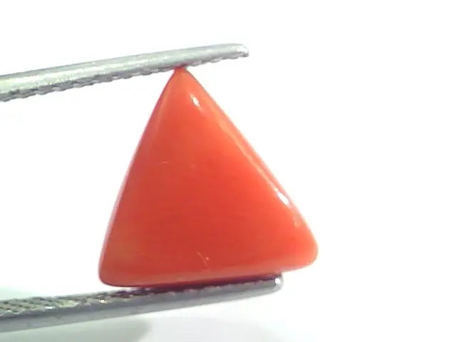 4.85 Ct 8 Ratti Natural Italian Triangle Red Coral Moonga Gems