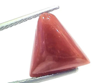 4.86 Ct Natural Italian Triangle Red Coral Trikon Moonga Gemstone - Venus Gems