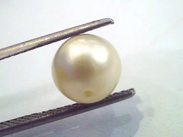 4.88 Carat Natural Certified Real South Sea Pearl,Certified Moti