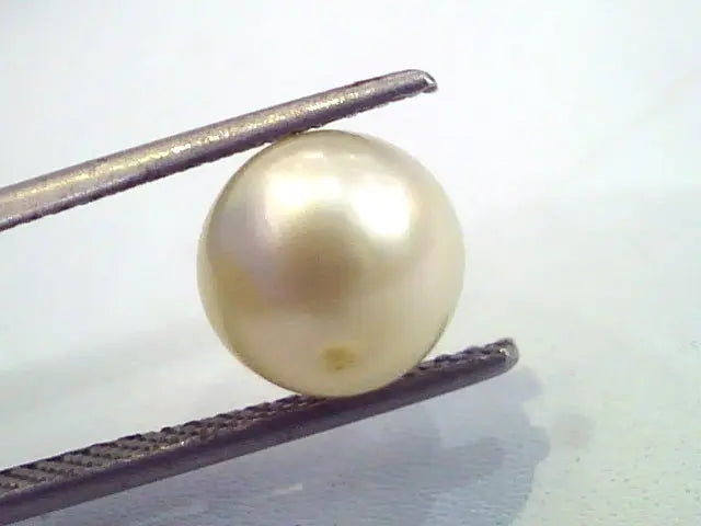 4.88 Carat Natural Certified Real South Sea Pearl,Certified Moti