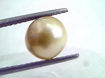 4.90 Ct Natural Certified Real South Sea Pearl,Certified Moti